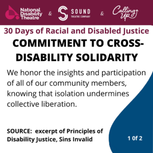commitment to cross disability solidarity