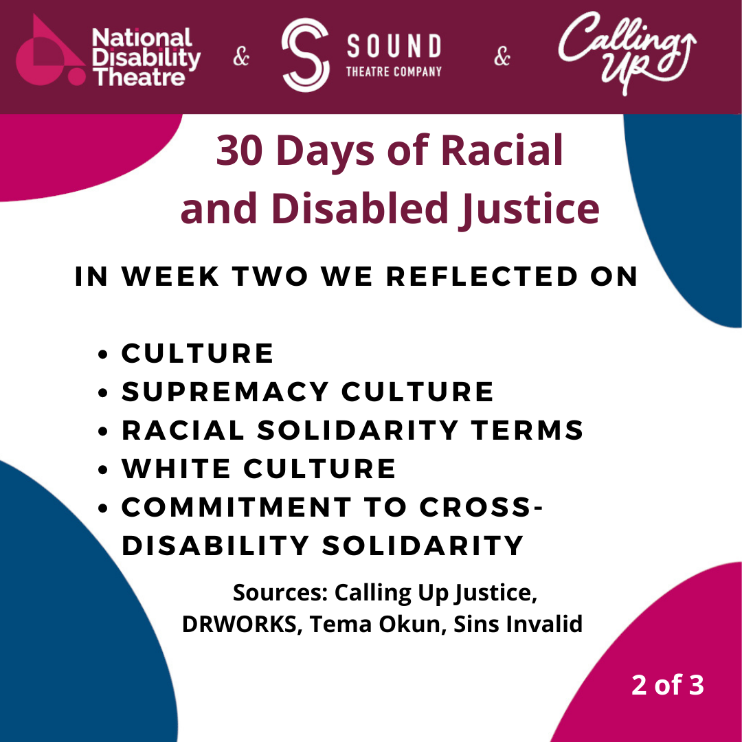 30 days of disability and racial justice week two summery card