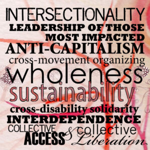 Intersectionality, Leadership of those most impacted, anti-capitalism, cross-movement organizing, wholeness, sustainability, cross-disability solidarity, interdependence, collective access, collective liberation