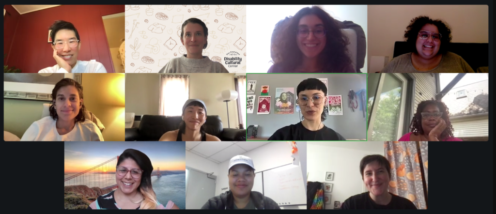 screenshot of zoom meeting with the emerge fellows and visiting community partner Mel Y. Chen.