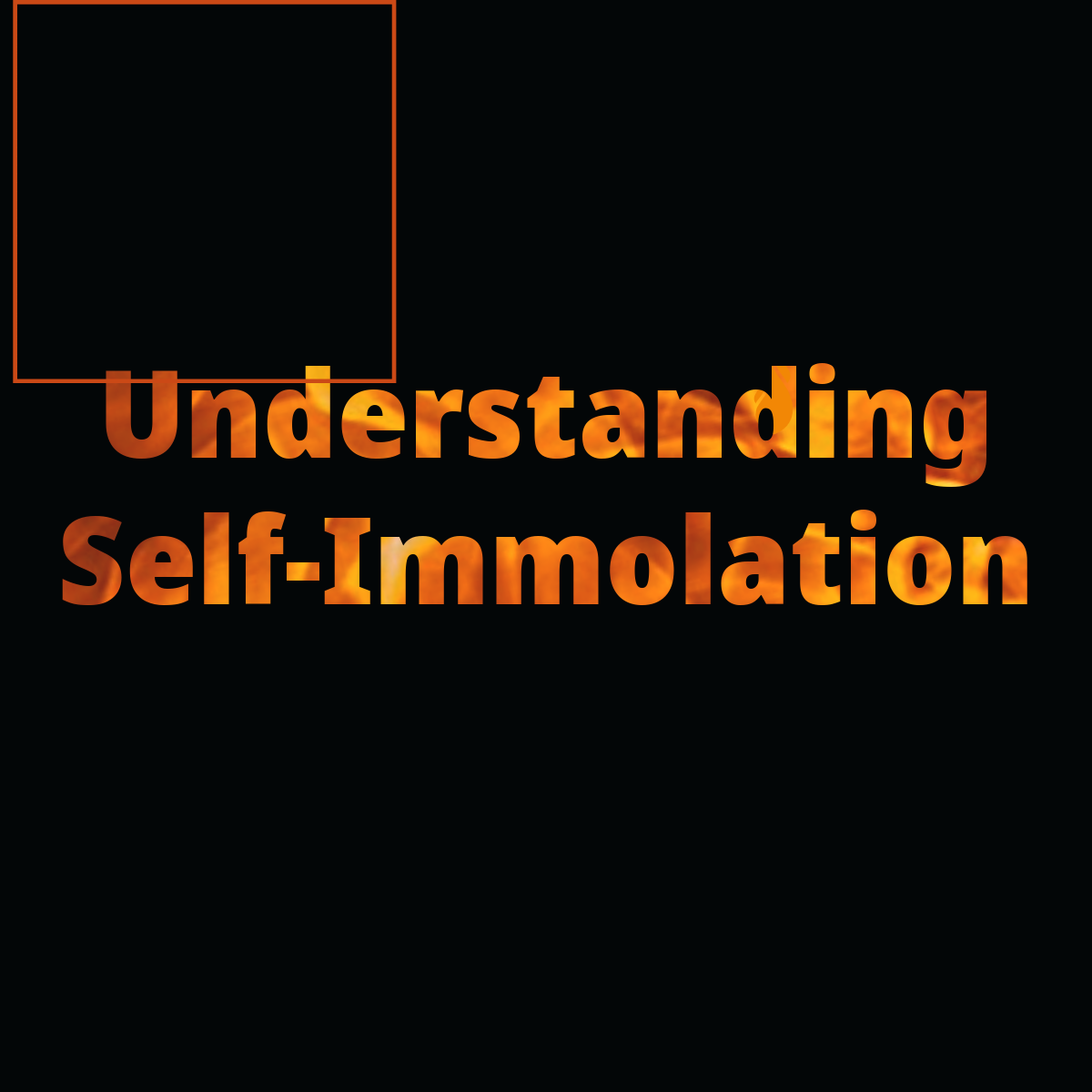 understanding self immolation in fire font on black background